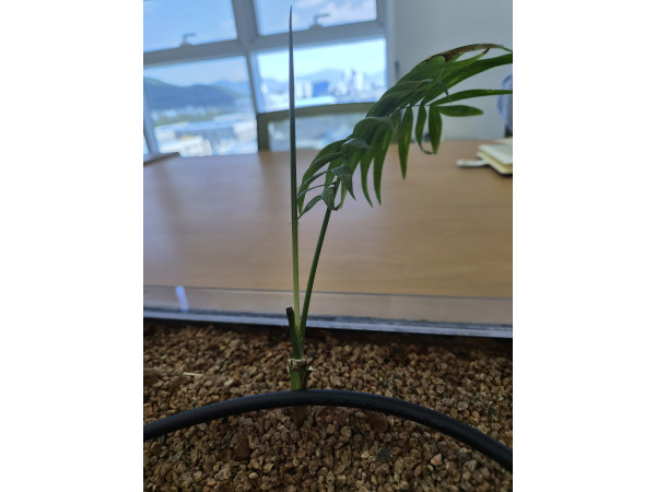 테스트